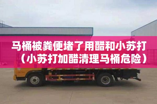 马桶被粪便堵了用醋和小苏打（小苏打加醋清理马桶危险）