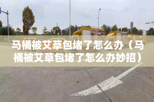 马桶被艾草包堵了怎么办（马桶被艾草包堵了怎么办妙招）