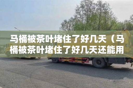 马桶被茶叶堵住了好几天（马桶被茶叶堵住了好几天还能用吗）