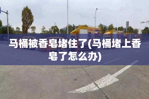 马桶被香皂堵住了(马桶堵上香皂了怎么办)