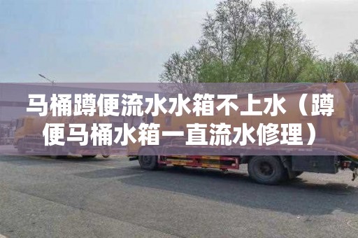 马桶蹲便流水水箱不上水（蹲便马桶水箱一直流水修理）
