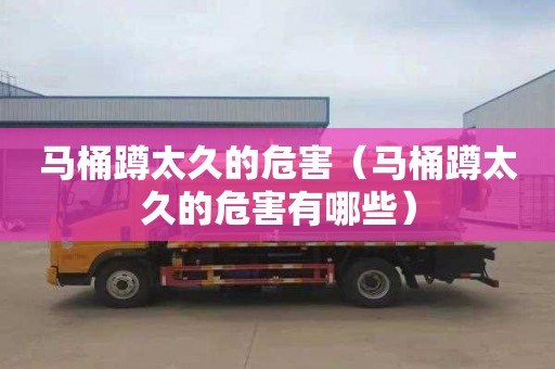 马桶蹲太久的危害（马桶蹲太久的危害有哪些）
