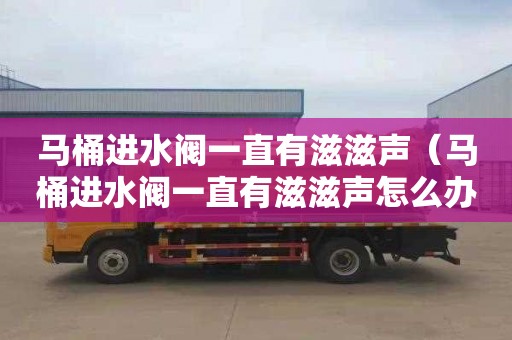 马桶进水阀一直有滋滋声（马桶进水阀一直有滋滋声怎么办）