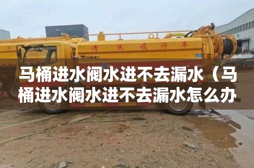 马桶进水阀水进不去漏水（马桶进水阀水进不去漏水怎么办）