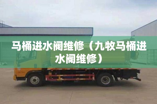 马桶进水阀维修（九牧马桶进水阀维修）