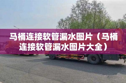 马桶连接软管漏水图片（马桶连接软管漏水图片大全）