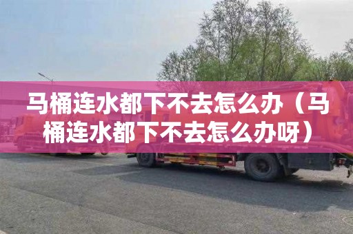 马桶连水都下不去怎么办（马桶连水都下不去怎么办呀）