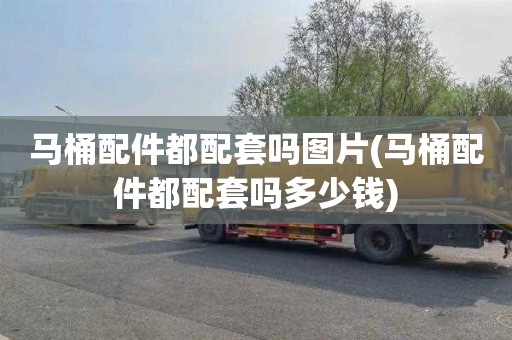 马桶配件都配套吗图片(马桶配件都配套吗多少钱)