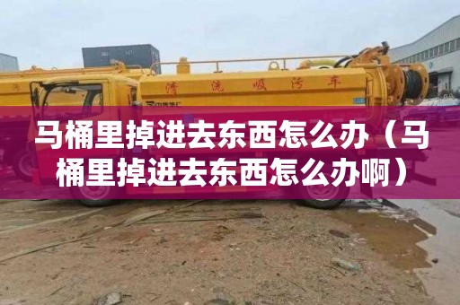 马桶里掉进去东西怎么办（马桶里掉进去东西怎么办啊）