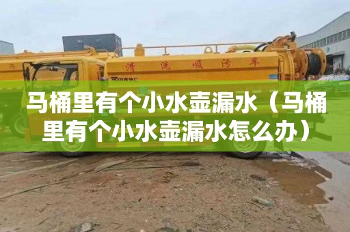 马桶里有个小水壶漏水（马桶里有个小水壶漏水怎么办）