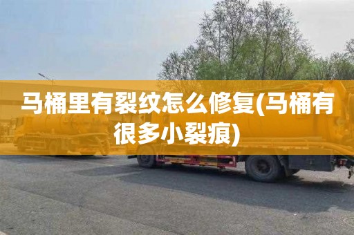 马桶里有裂纹怎么修复(马桶有很多小裂痕)