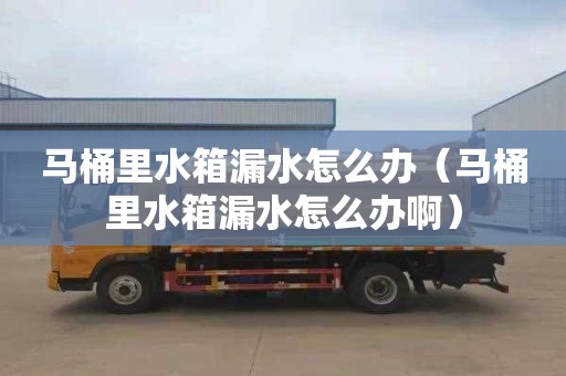 马桶里水箱漏水怎么办（马桶里水箱漏水怎么办啊）