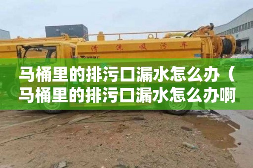 马桶里的排污口漏水怎么办（马桶里的排污口漏水怎么办啊）