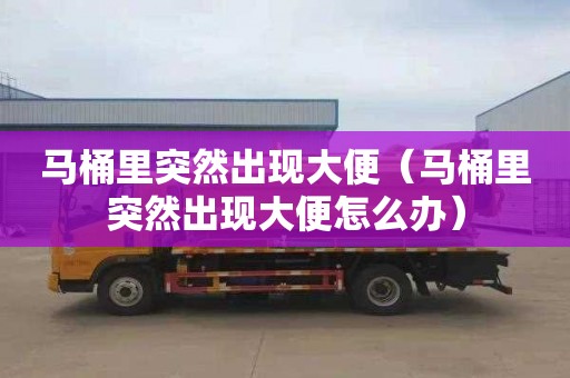 马桶里突然出现大便（马桶里突然出现大便怎么办）
