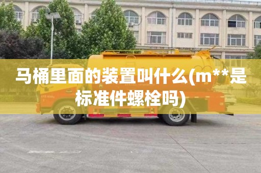 马桶里面的装置叫什么(m**是标准件螺栓吗)