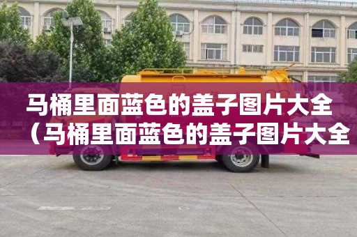马桶里面蓝色的盖子图片大全（马桶里面蓝色的盖子图片大全图解）