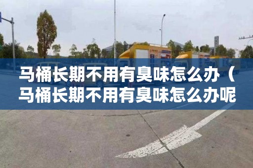 马桶长期不用有臭味怎么办（马桶长期不用有臭味怎么办呢）