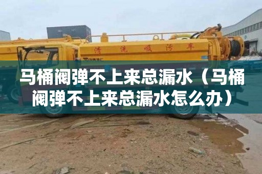 马桶阀弹不上来总漏水（马桶阀弹不上来总漏水怎么办）