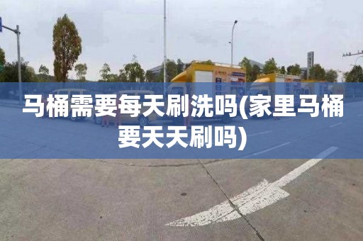 马桶需要每天刷洗吗(家里马桶要天天刷吗)