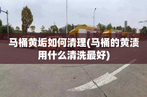 马桶黄垢如何清理(马桶的黄渍用什么清洗最好)