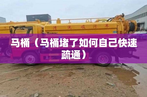 马桶（马桶堵了如何自己快速疏通）
