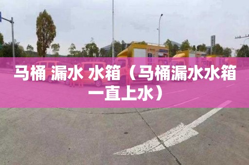 马桶 漏水 水箱（马桶漏水水箱一直上水）