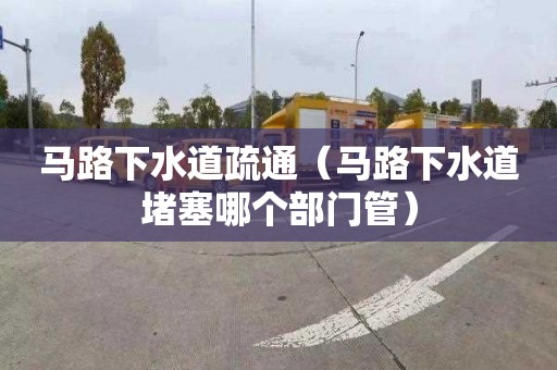 马路下水道疏通（马路下水道堵塞哪个部门管）