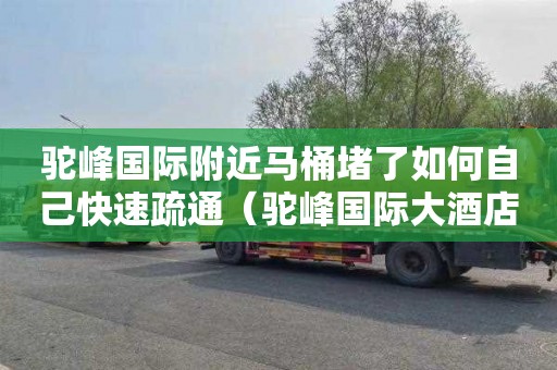 驼峰国际附近马桶堵了如何自己快速疏通（驼峰国际大酒店电话）