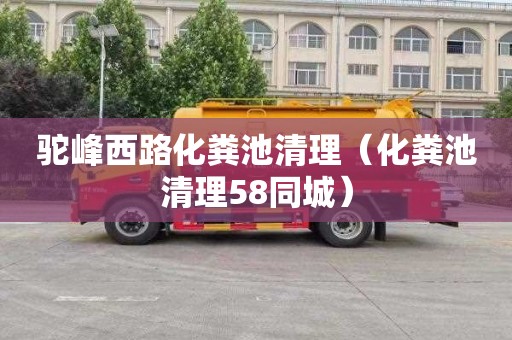 驼峰西路化粪池清理（化粪池清理58同城）
