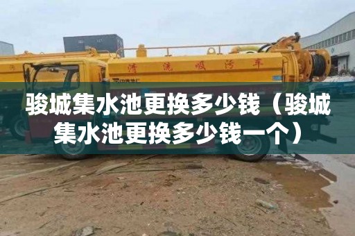 骏城集水池更换多少钱（骏城集水池更换多少钱一个）