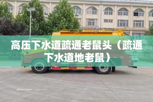 高压下水道疏通老鼠头（疏通下水道地老鼠）