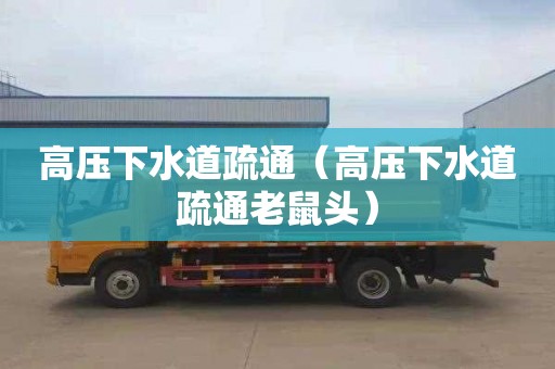 高压下水道疏通（高压下水道疏通老鼠头）