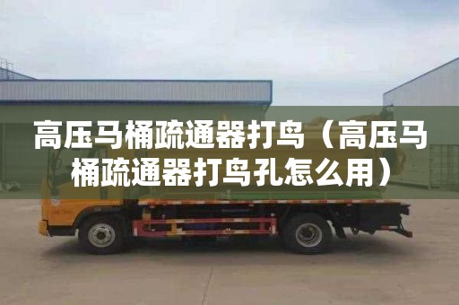 高压马桶疏通器打鸟（高压马桶疏通器打鸟孔怎么用）