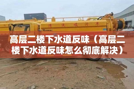 高层二楼下水道反味（高层二楼下水道反味怎么彻底解决）