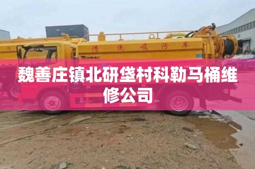 魏善庄镇北研垡村科勒马桶维修公司