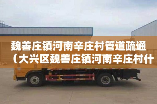 魏善庄镇河南辛庄村管道疏通（大兴区魏善庄镇河南辛庄村什么时候拆）