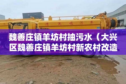 魏善庄镇羊坊村抽污水（大兴区魏善庄镇羊坊村新农村改造）
