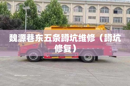 魏源巷东五条蹲坑维修（蹲坑修复）