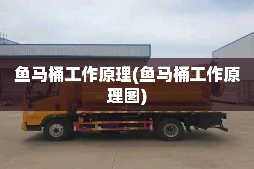 鱼马桶工作原理(鱼马桶工作原理图)