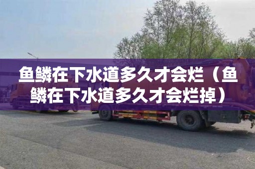 鱼鳞在下水道多久才会烂（鱼鳞在下水道多久才会烂掉）