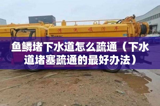 鱼鳞堵下水道怎么疏通（下水道堵塞疏通的最好办法）