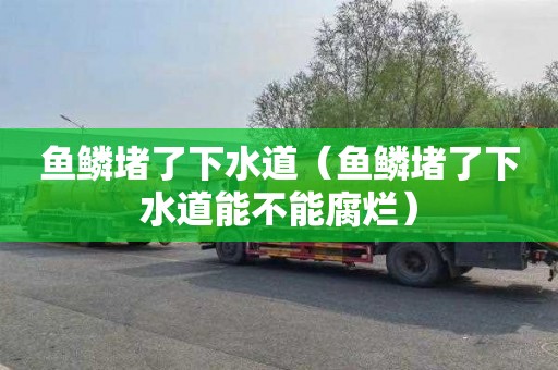 鱼鳞堵了下水道（鱼鳞堵了下水道能不能腐烂）