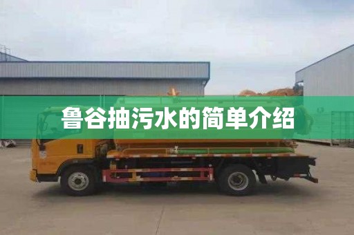 鲁谷抽污水的简单介绍