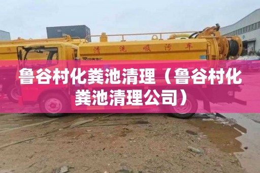 鲁谷村化粪池清理（鲁谷村化粪池清理公司）