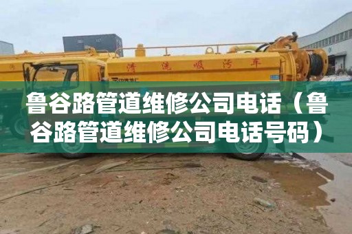 鲁谷路管道维修公司电话（鲁谷路管道维修公司电话号码）
