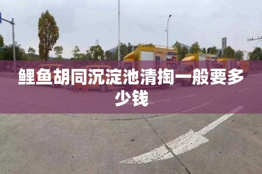 鲤鱼胡同沉淀池清掏一般要多少钱