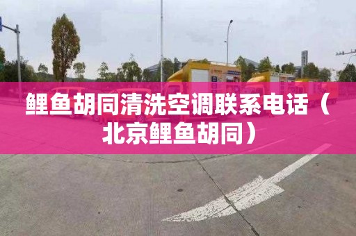 鲤鱼胡同清洗空调联系电话（北京鲤鱼胡同）