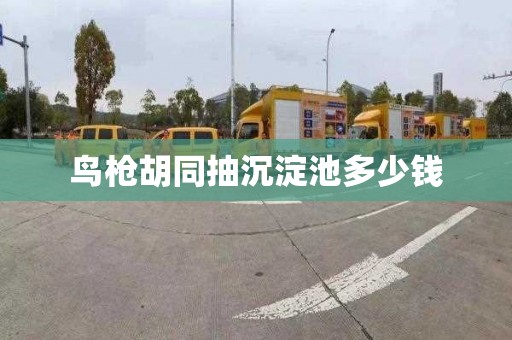 鸟枪胡同抽沉淀池多少钱