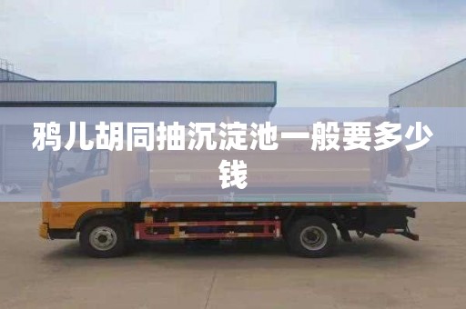 鸦儿胡同抽沉淀池一般要多少钱