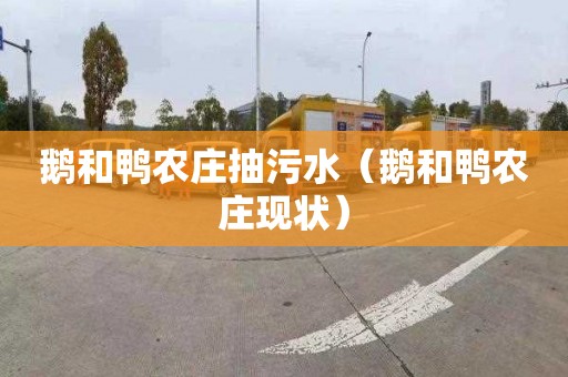 鹅和鸭农庄抽污水（鹅和鸭农庄现状）